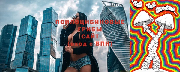 стаф Вязники